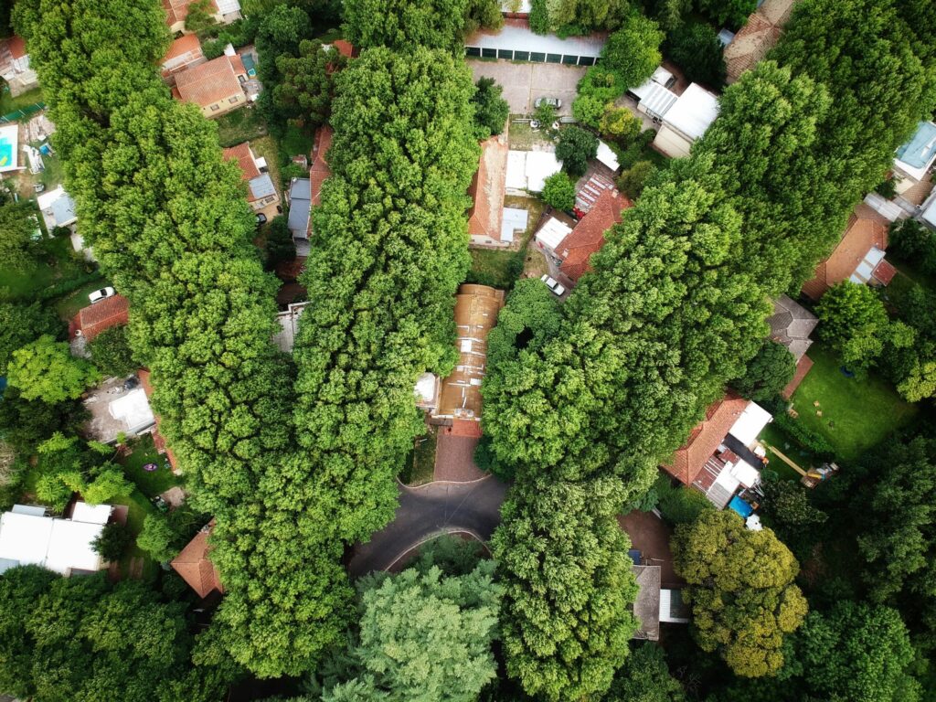 Aerial view of residential houses and trees