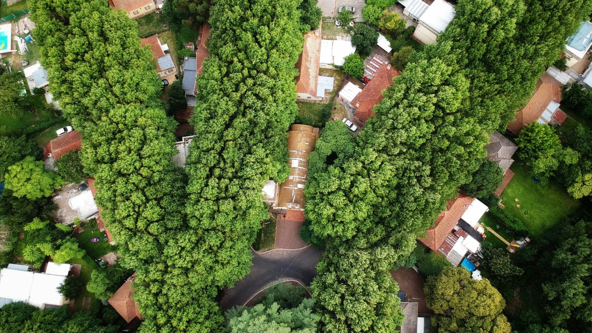 m-sc-vn15ObirdDw-unsplash Aerial view of residential houses and trees