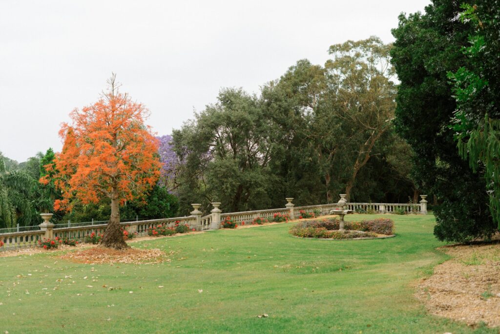 Vibrant Autumn Tree in Serene Park Landscape