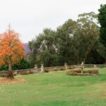 What Is a Tree Preservation Order?