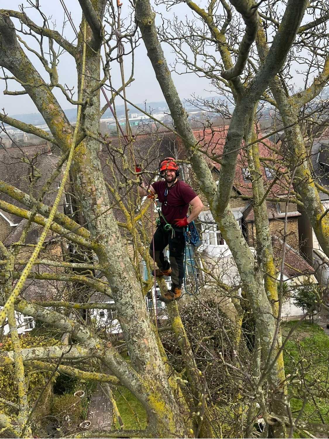 A tree surgeon from Broadleaf Tree Surgery at work in a tree