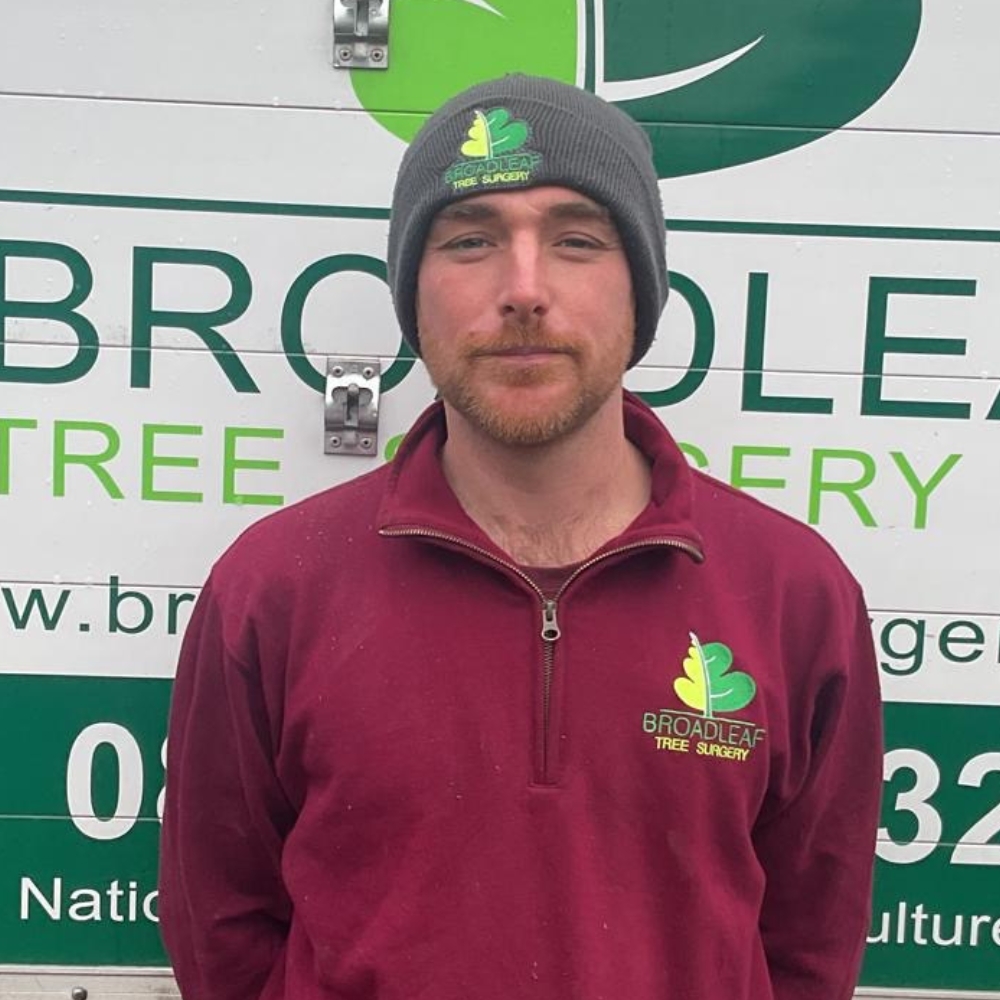 Jamie Wilkins, a climber at Broadleaf Tree Surgery
