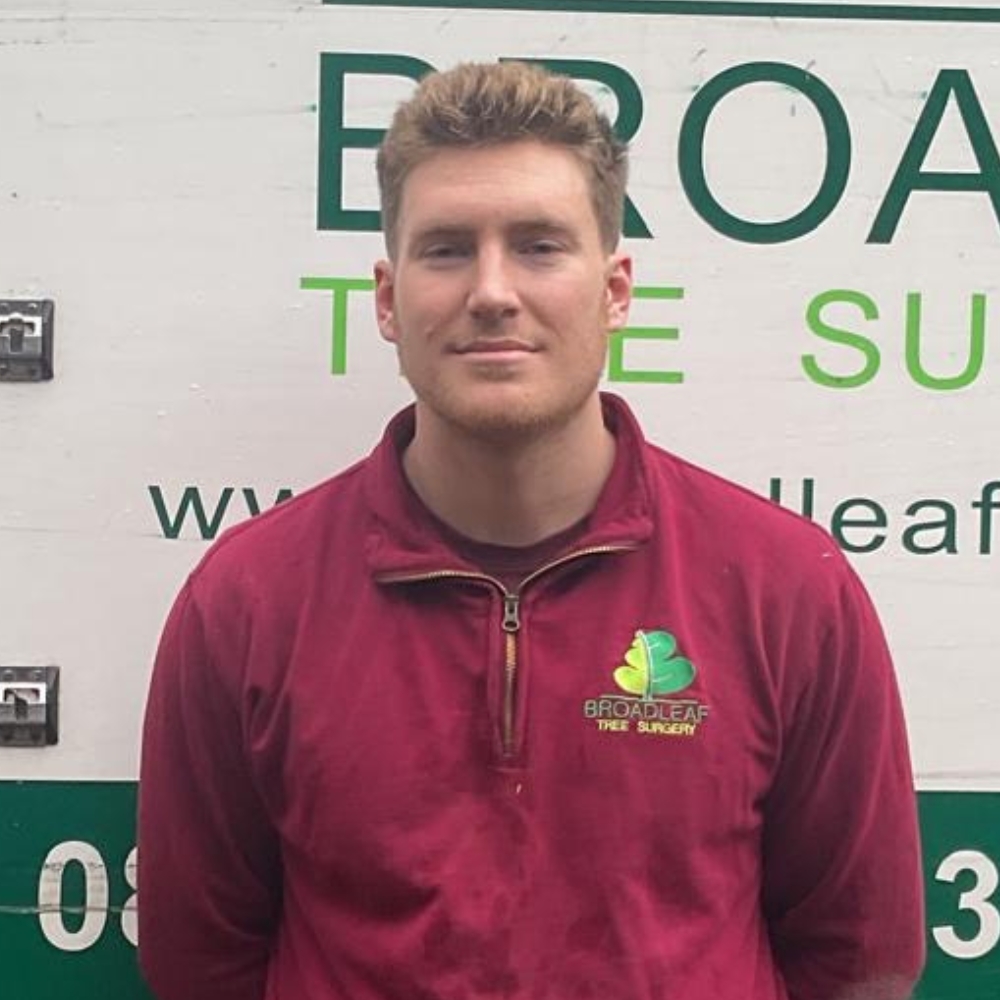 Jenson Lee, a climber at Broadleaf Tree Surgery