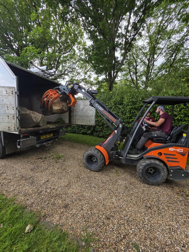Dead Oak Reduction Headcorn (1)