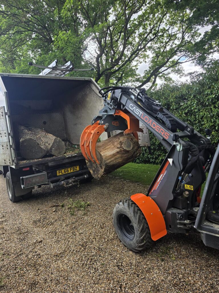 Dead Oak Reduction Headcorn (3)
