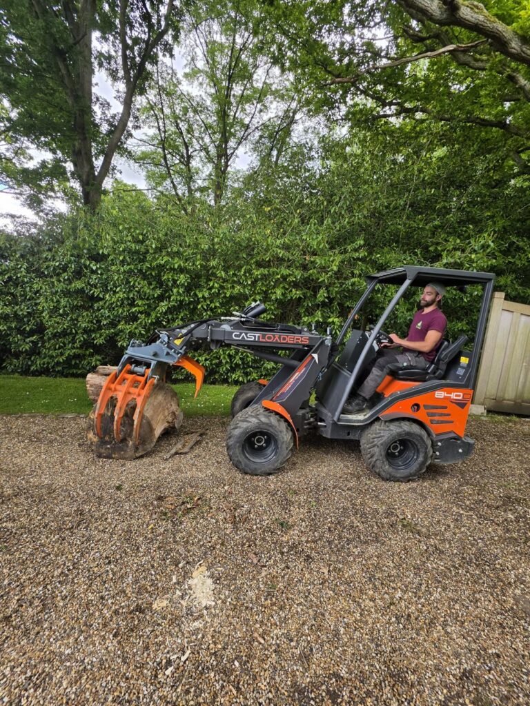 Dead Oak Reduction Headcorn (6)