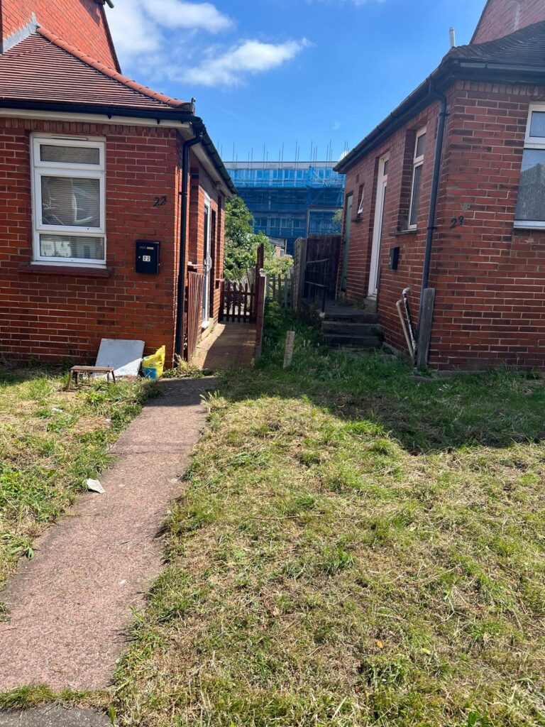 Limited Access Tree Removal in Medway 1