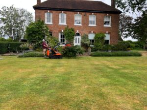 Mature Leylandii Hedge Maintenance in Maidstone (8)