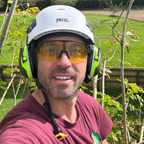 Aaron Mcgimpsey-Joyce, founder of Broadleaf Tree Surgery, at work in a tree